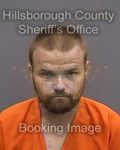 MICHAEL STEVEN LOLLEY  Info, Photos, Data, and More About MICHAEL STEVEN LOLLEY  / MICHAEL STEVEN LOLLEY  Tampa Area