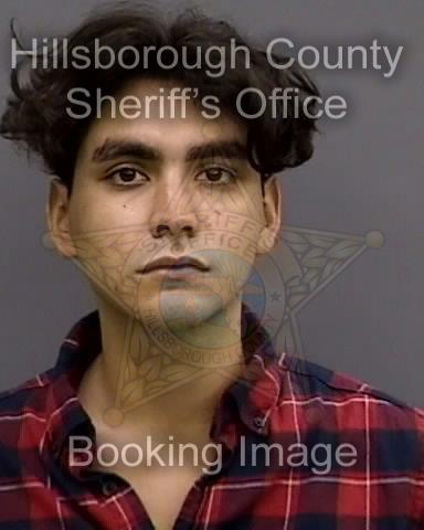NATHAN ROSS LLUVIA  Info, Photos, Data, and More About NATHAN ROSS LLUVIA  / NATHAN ROSS LLUVIA  Tampa Area