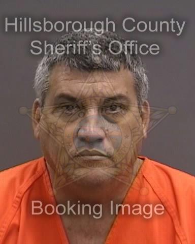 NOEL MORENO LINARES  Info, Photos, Data, and More About NOEL MORENO LINARES  / NOEL MORENO LINARES  Tampa Area