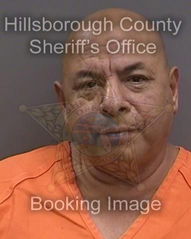 NOEL SALVADOR HALSALL  Info, Photos, Data, and More About NOEL SALVADOR HALSALL  / NOEL SALVADOR HALSALL  Tampa Area