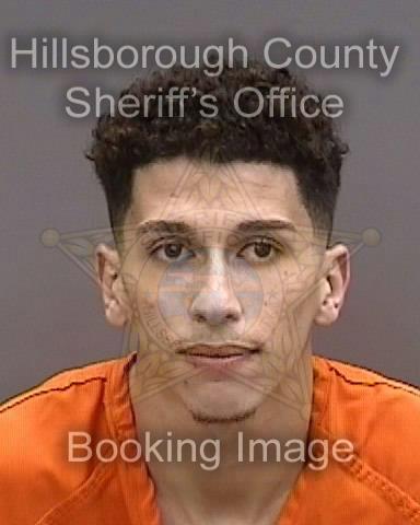 OMAR LOUTFI HAMID  Info, Photos, Data, and More About OMAR LOUTFI HAMID  / OMAR LOUTFI HAMID  Tampa Area