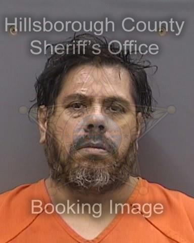 RENZO PAREDES  Info, Photos, Data, and More About RENZO PAREDES  / RENZO PAREDES  Tampa Area