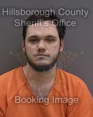 ROCK DALE CATANZARO  Info, Photos, Data, and More About ROCK DALE CATANZARO  / ROCK DALE CATANZARO  Tampa Area