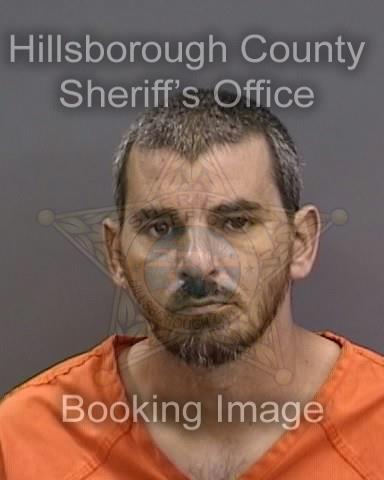 SHAUN ALLEN SHAFII  Info, Photos, Data, and More About SHAUN ALLEN SHAFII  / SHAUN ALLEN SHAFII  Tampa Area
