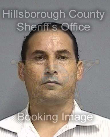 STEVEN FRANK MEJIA  Info, Photos, Data, and More About STEVEN FRANK MEJIA  / STEVEN FRANK MEJIA  Tampa Area