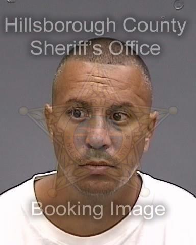 WILFREDO GABRIEL ROSARIO  Info, Photos, Data, and More About WILFREDO GABRIEL ROSARIO  / WILFREDO GABRIEL ROSARIO  Tampa Area