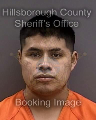 YONI PEREZ GUZMAN  Info, Photos, Data, and More About YONI PEREZ GUZMAN  / YONI PEREZ GUZMAN  Tampa Area