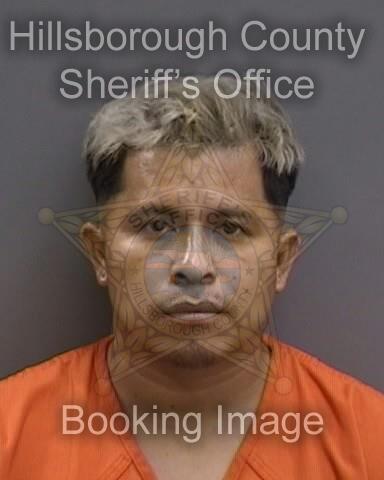 AMILCAR COC YAT  Info, Photos, Data, and More About AMILCAR COC YAT  / AMILCAR COC YAT  Tampa Area