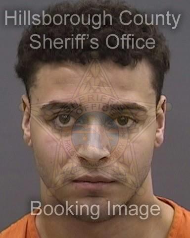 ANDY FELLOVE  Info, Photos, Data, and More About ANDY FELLOVE  / ANDY FELLOVE  Tampa Area