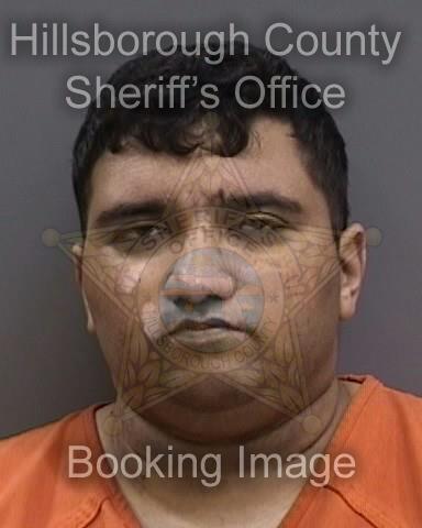 ANKIT ASHVIN SHINGALA  Info, Photos, Data, and More About ANKIT ASHVIN SHINGALA  / ANKIT ASHVIN SHINGALA  Tampa Area