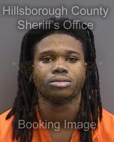 BRANDON EDWARD COLSTON  Info, Photos, Data, and More About BRANDON EDWARD COLSTON  / BRANDON EDWARD COLSTON  Tampa Area