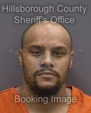 BRENTON LEIGH SCOTT  Info, Photos, Data, and More About BRENTON LEIGH SCOTT  / BRENTON LEIGH SCOTT  Tampa Area