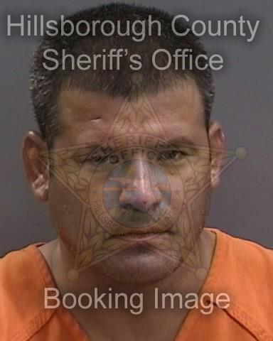 DANIEL ALVAREZ SANCHEZ  Info, Photos, Data, and More About DANIEL ALVAREZ SANCHEZ  / DANIEL ALVAREZ SANCHEZ  Tampa Area
