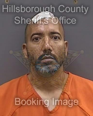 DANIEL VEGA  Info, Photos, Data, and More About DANIEL VEGA  / DANIEL VEGA  Tampa Area