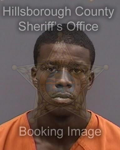 DONALD MICHAEL PHINAZEE  Info, Photos, Data, and More About DONALD MICHAEL PHINAZEE  / DONALD MICHAEL PHINAZEE  Tampa Area