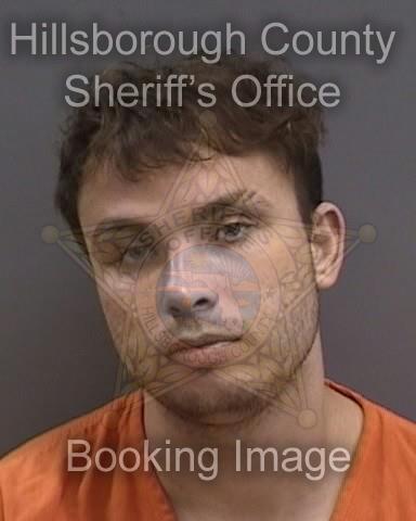 DYLAN EDWARD LEE  Info, Photos, Data, and More About DYLAN EDWARD LEE  / DYLAN EDWARD LEE  Tampa Area