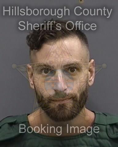 DYLAN PETER MORGENSTERN  Info, Photos, Data, and More About DYLAN PETER MORGENSTERN  / DYLAN PETER MORGENSTERN  Tampa Area