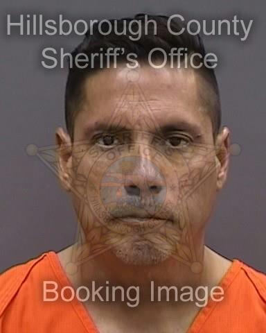 GILBERTO MORALES  Info, Photos, Data, and More About GILBERTO MORALES  / GILBERTO MORALES  Tampa Area