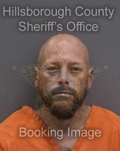 JUSTIN AMADEUS GREUBEL  Info, Photos, Data, and More About JUSTIN AMADEUS GREUBEL  / JUSTIN AMADEUS GREUBEL  Tampa Area