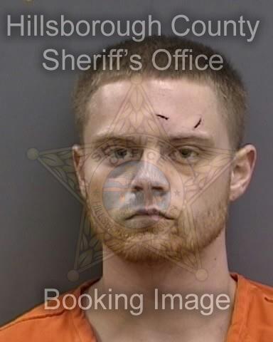 LIAM SHIELDS  Info, Photos, Data, and More About LIAM SHIELDS  / LIAM SHIELDS  Tampa Area