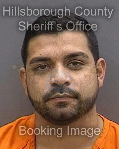 MATHEUS AMORIM TAVARES  Info, Photos, Data, and More About MATHEUS AMORIM TAVARES  / MATHEUS AMORIM TAVARES  Tampa Area