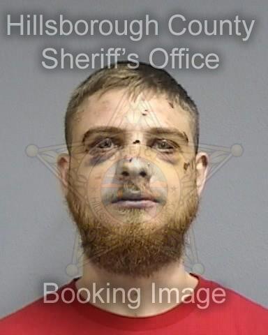 NICHOLAS MICHAEL PROVENZA  Info, Photos, Data, and More About NICHOLAS MICHAEL PROVENZA  / NICHOLAS MICHAEL PROVENZA  Tampa Area