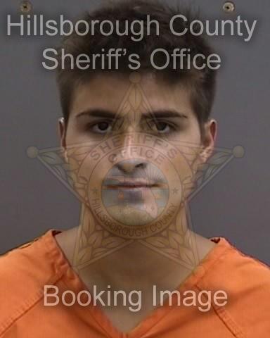 NOAH LUIGI PEDRAZZOLI  Info, Photos, Data, and More About NOAH LUIGI PEDRAZZOLI  / NOAH LUIGI PEDRAZZOLI  Tampa Area