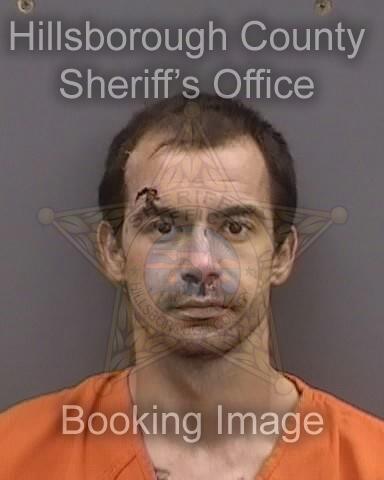 STEVEN WILLIAM MACCARON  Info, Photos, Data, and More About STEVEN WILLIAM MACCARON  / STEVEN WILLIAM MACCARON  Tampa Area