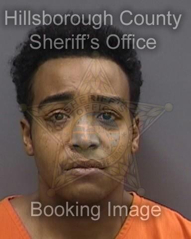 TYLER DAVID JOHN  Info, Photos, Data, and More About TYLER DAVID JOHN  / TYLER DAVID JOHN  Tampa Area
