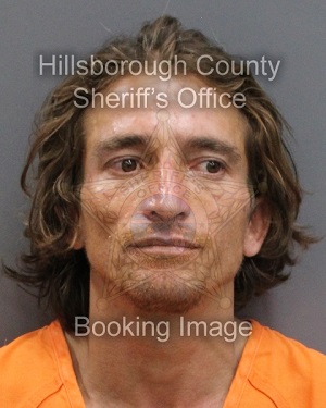 AHMAD QAIS MOSTAMANDI  Info, Photos, Data, and More About AHMAD QAIS MOSTAMANDI  / AHMAD QAIS MOSTAMANDI  Tampa Area