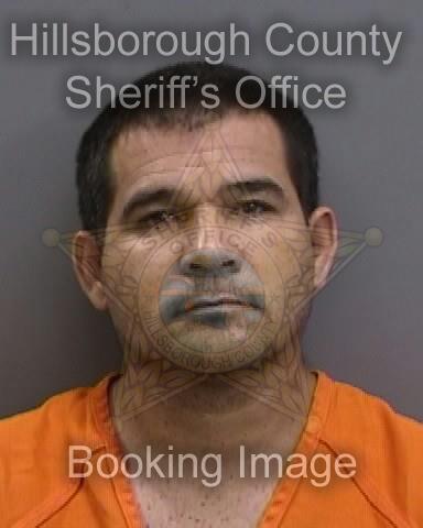 ALEXANDER ORTEGA CASTILLO  Info, Photos, Data, and More About ALEXANDER ORTEGA CASTILLO  / ALEXANDER ORTEGA CASTILLO  Tampa Area