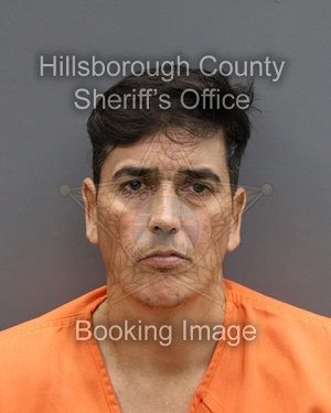 AMAURYS REIN DELGADO QUINONES  Info, Photos, Data, and More About AMAURYS REIN DELGADO QUINONES  / AMAURYS REIN DELGADO QUINONES  Tampa Area