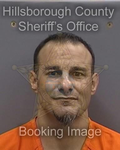 ANDY RYAN INTROINI  Info, Photos, Data, and More About ANDY RYAN INTROINI  / ANDY RYAN INTROINI  Tampa Area