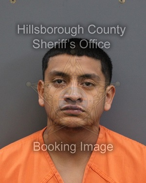 ANTHONY EFRAIN BECERRA  Info, Photos, Data, and More About ANTHONY EFRAIN BECERRA  / ANTHONY EFRAIN BECERRA  Tampa Area