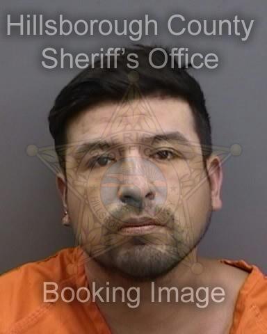 BERNARDO ORTEGA  Info, Photos, Data, and More About BERNARDO ORTEGA  / BERNARDO ORTEGA  Tampa Area