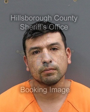BERNARDO ORTEGA  Info, Photos, Data, and More About BERNARDO ORTEGA  / BERNARDO ORTEGA  Tampa Area