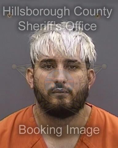 BRUNO MIGUEL HERNANDEZ BALLATE  Info, Photos, Data, and More About BRUNO MIGUEL HERNANDEZ BALLATE  / BRUNO MIGUEL HERNANDEZ BALLATE  Tampa Area