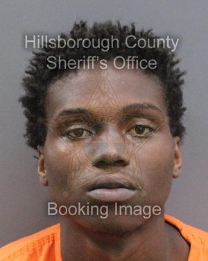 BRYCE ANDREW STONE  Info, Photos, Data, and More About BRYCE ANDREW STONE  / BRYCE ANDREW STONE  Tampa Area