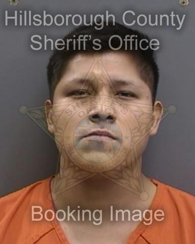 CESAR RAUL MEZA OVIEDO  Info, Photos, Data, and More About CESAR RAUL MEZA OVIEDO  / CESAR RAUL MEZA OVIEDO  Tampa Area