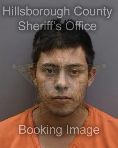 CHRISTIAN ARAEL GARCIA GUILLEN  Info, Photos, Data, and More About CHRISTIAN ARAEL GARCIA GUILLEN  / CHRISTIAN ARAEL GARCIA GUILLEN  Tampa Area