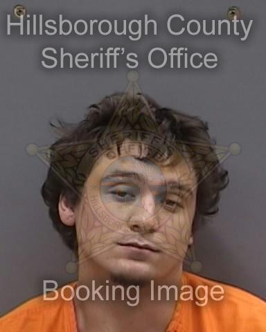 DANTE CONNOR  Info, Photos, Data, and More About DANTE CONNOR  / DANTE CONNOR  Tampa Area