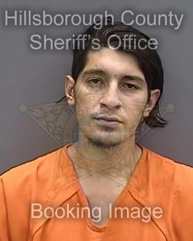 DAVID ALEXANDER GARAYAR  Info, Photos, Data, and More About DAVID ALEXANDER GARAYAR  / DAVID ALEXANDER GARAYAR  Tampa Area