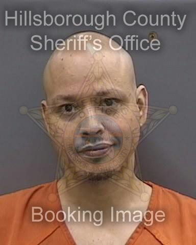 DAVID VELASQUEZ  Info, Photos, Data, and More About DAVID VELASQUEZ  / DAVID VELASQUEZ  Tampa Area