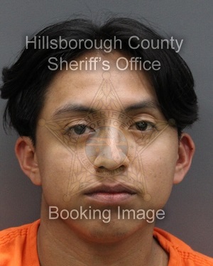 DERBYN AMBROSIO-MEJAY  Info, Photos, Data, and More About DERBYN AMBROSIO-MEJAY  / DERBYN AMBROSIO-MEJAY  Tampa Area