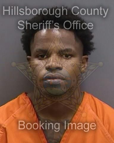 DEVIN LEVI HARRISON  Info, Photos, Data, and More About DEVIN LEVI HARRISON  / DEVIN LEVI HARRISON  Tampa Area