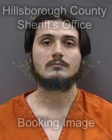 DOMINIC PASQUALE MITCHELL  Info, Photos, Data, and More About DOMINIC PASQUALE MITCHELL  / DOMINIC PASQUALE MITCHELL  Tampa Area