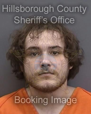 GABRIEL FIGUEIREDO ZIEGLER  Info, Photos, Data, and More About GABRIEL FIGUEIREDO ZIEGLER  / GABRIEL FIGUEIREDO ZIEGLER  Tampa Area