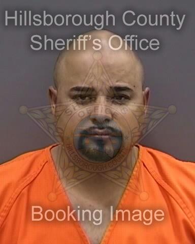 GUELSY ORTIZ  Info, Photos, Data, and More About GUELSY ORTIZ  / GUELSY ORTIZ  Tampa Area