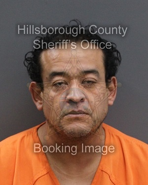 HERBERTH ALCIDES FIGUEROA FLORES  Info, Photos, Data, and More About HERBERTH ALCIDES FIGUEROA FLORES  / HERBERTH ALCIDES FIGUEROA FLORES  Tampa Area