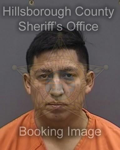 ITALO CALDERON  Info, Photos, Data, and More About ITALO CALDERON  / ITALO CALDERON  Tampa Area